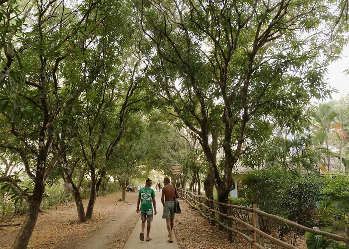 Maca Retreat